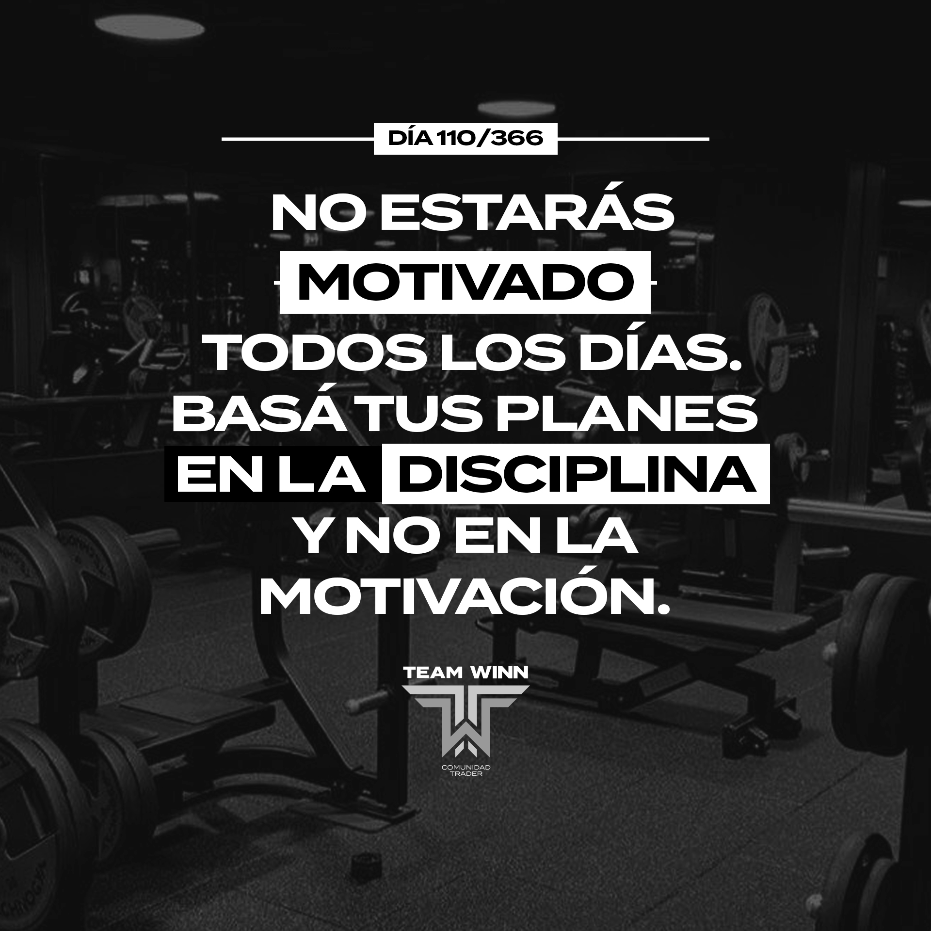 Frase 4