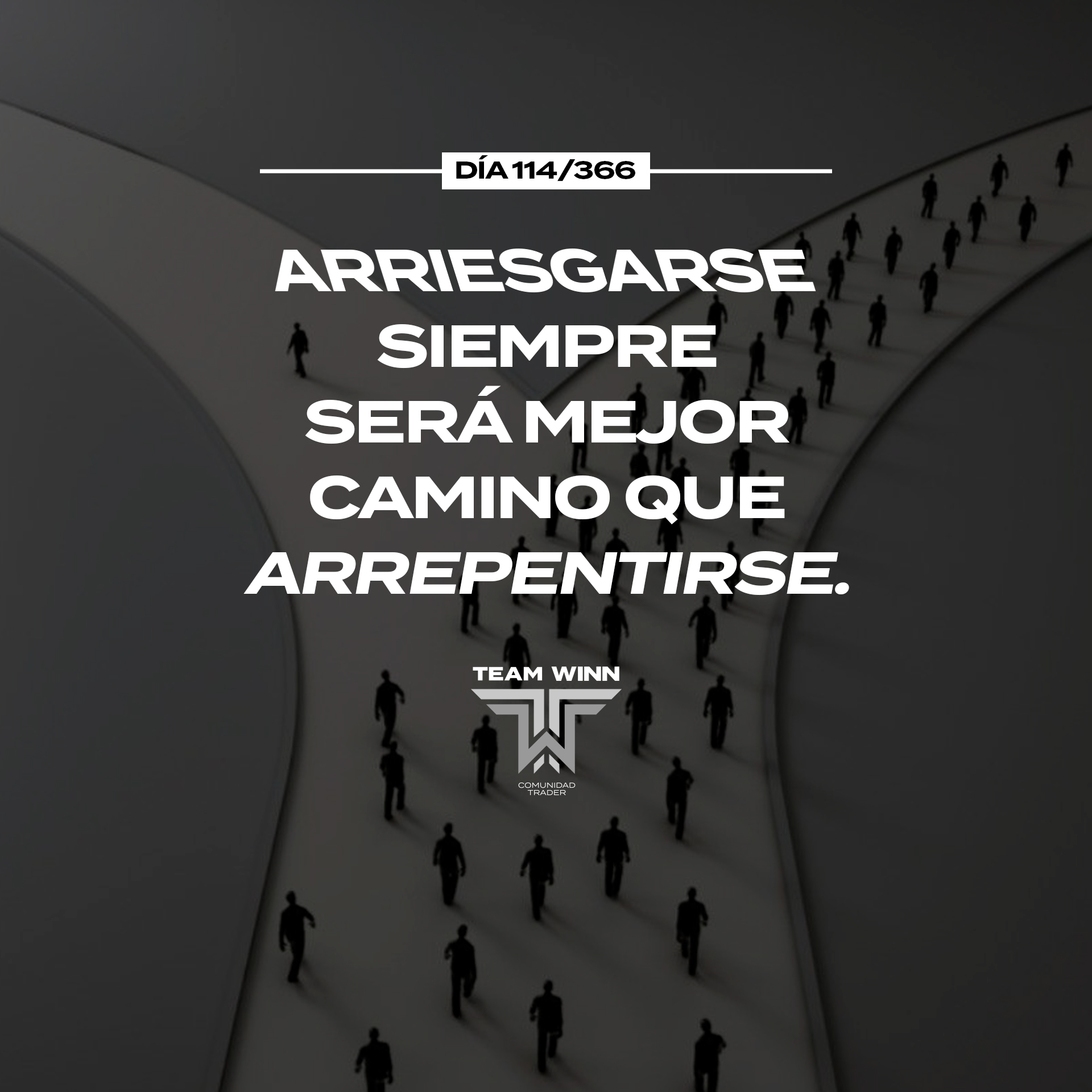 Frase 8